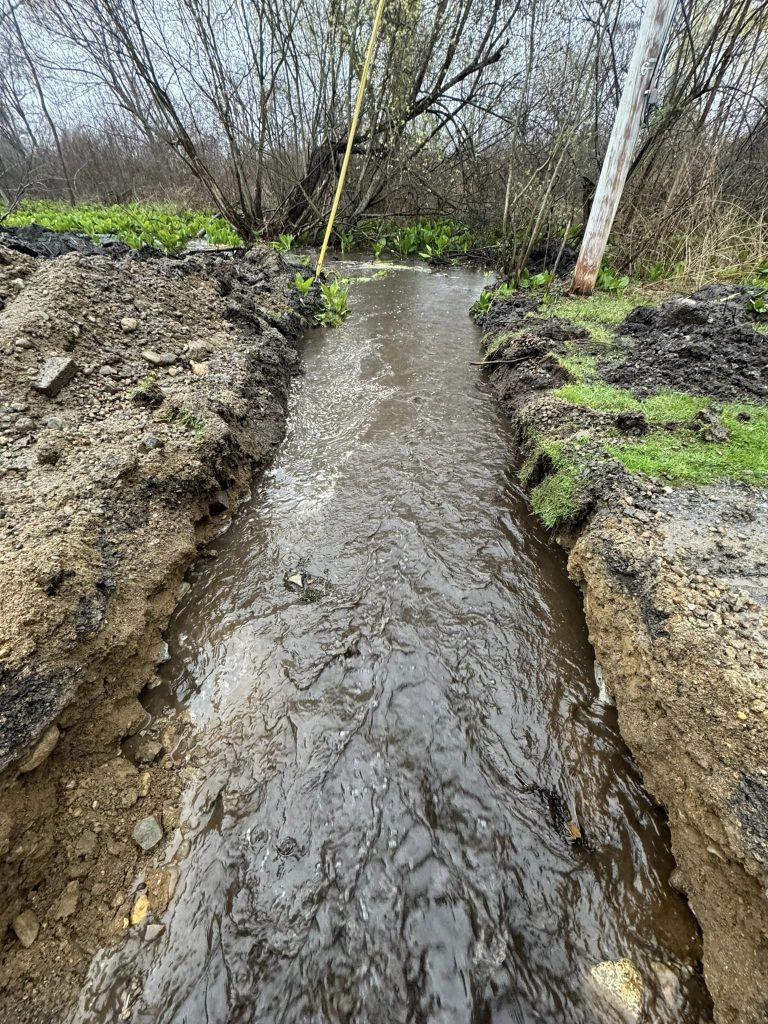 438955051_1616531165784447_2375735165704065962_n