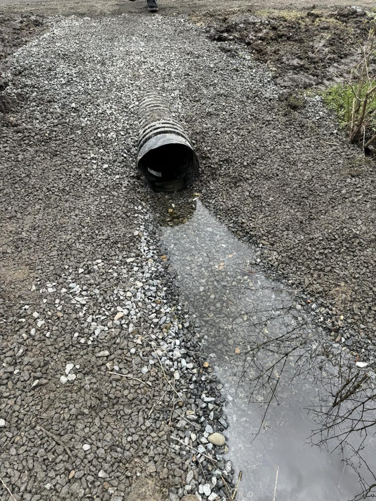 439336267_1616563469114550_5201500188062247149_n