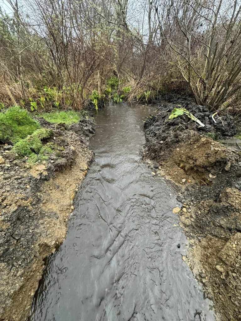 439638204_1616531085784455_2733380166019235601_n